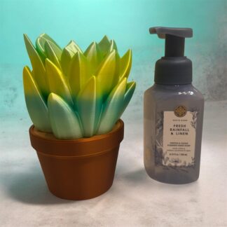 Succulent BBW Soap Holder