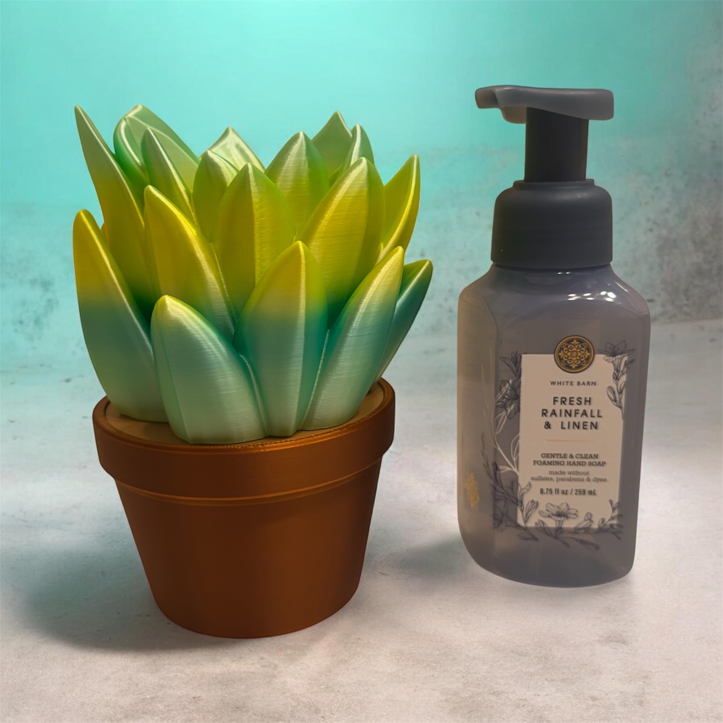 Succulent BBW Soap Holder