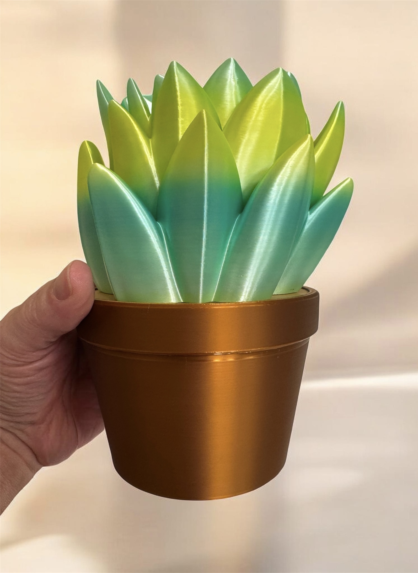 Succulent BBW Soap Holder - Image 3