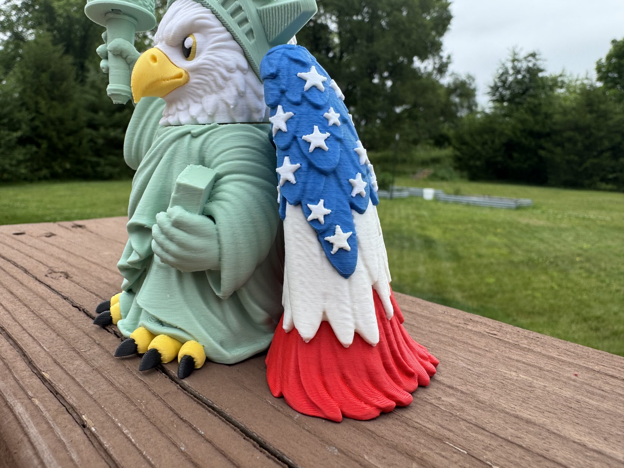 Liberty Eagle Has Landed - Image 7